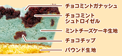 成城石井自家製 国産ミント葉ペースト使用 チョコミントチーズケーキ